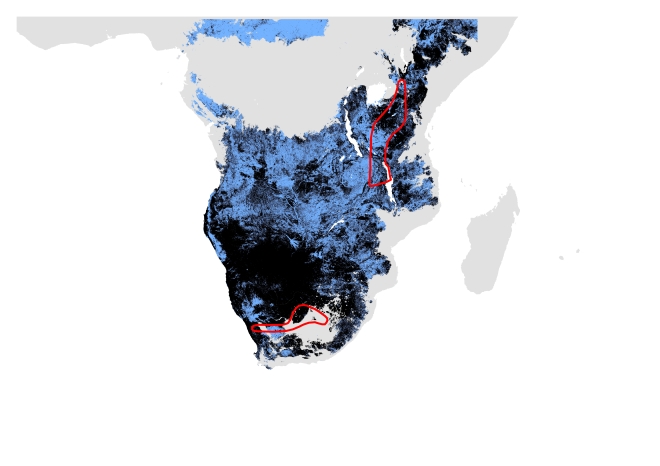 B. Current distribution using modern and past data. Potentially suitable climate and habitat shown in black (Range size = 5,113,193 sq.km) and potentially suitable climate shown in blue (Range size= 8,635,073 sq.km). IUCN polygon shown in red.