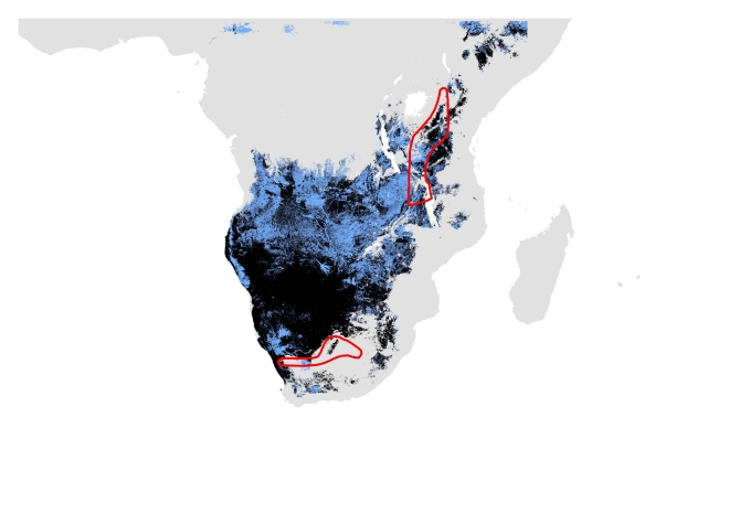 A. Current distribution using only modern data. Potentially suitable climate and habitat shown in black (Range size = 4,812,224 sq.km) and potentially suitable climate shown in blue (Range size= 3,128,852 sq.km). IUCN polygon shown in red.