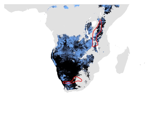 D. Past distribution using modern and past data. Potentially suitable climate and habitat shown in black (Range size = 3,774,575 sq.km) and potentially suitable climate shown in blue (Range size= 6,011,037 sq.km). IUCN polygon shown in red.