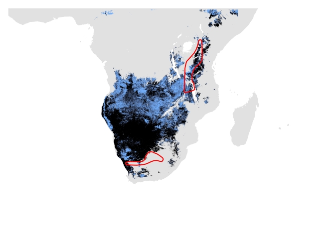 C. Past distribution using only modern data. Potentially suitable climate and habitat shown in black (Range size = 2,470,383 sq.km) and potentially suitable climate shown in blue (Range size= 3,630,867 sq.km). IUCN polygon shown in red.